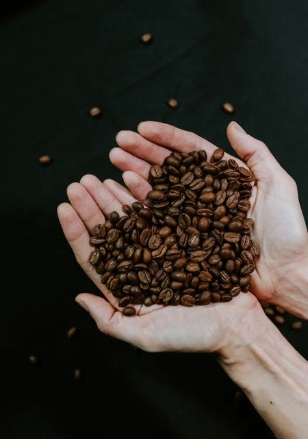 咖啡小豆与咖啡豆的区别_咖啡小豆_咖啡小豆和中豆的区别